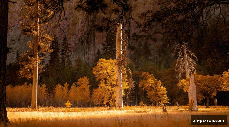 热血奔放，梦想启航